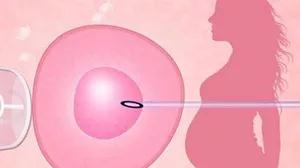 女人代怀试管